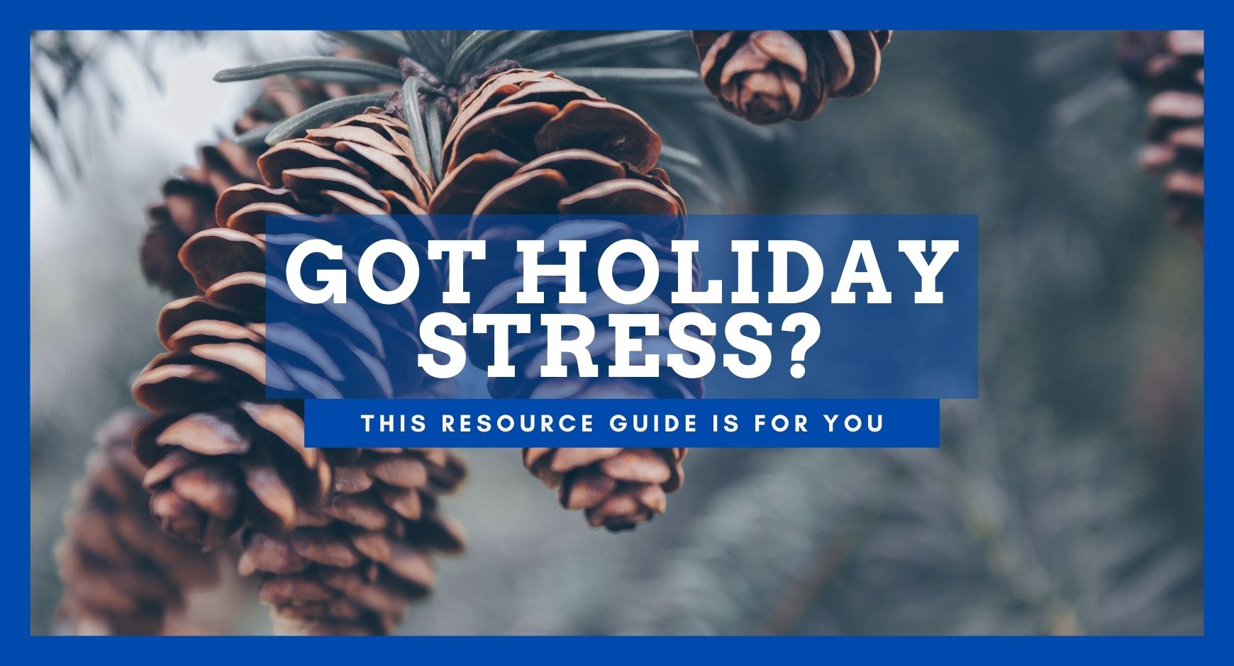 A picture of a bunch of pinecones on a tree covered in snow under words that read "Got Holiday Stress? This Resource Guide is for You"