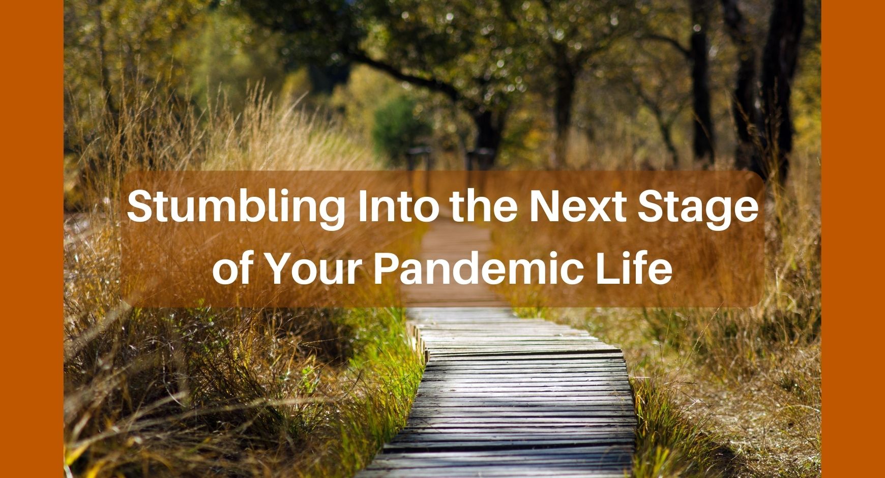 A winding wooden path in high grass under words that read "Stumbling Into the Next Stage of Your Pandemic Life"