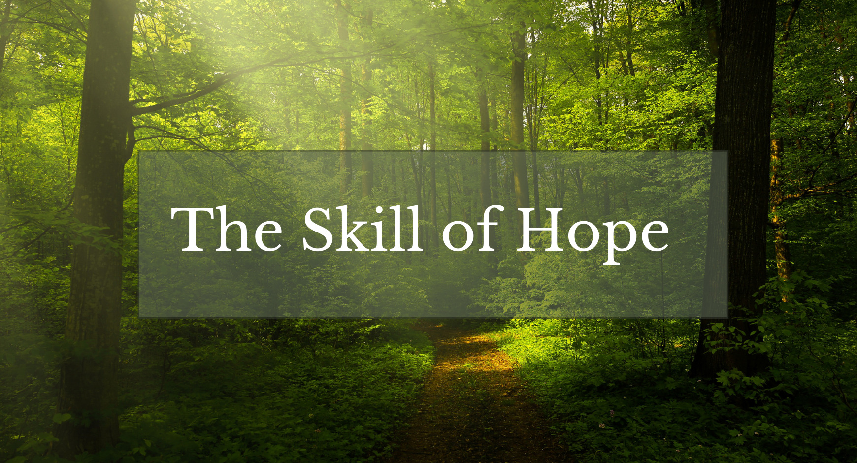 A view of a forest clearing with a ray of sunlight shining through the trees under words that read "The Skill of Hope"