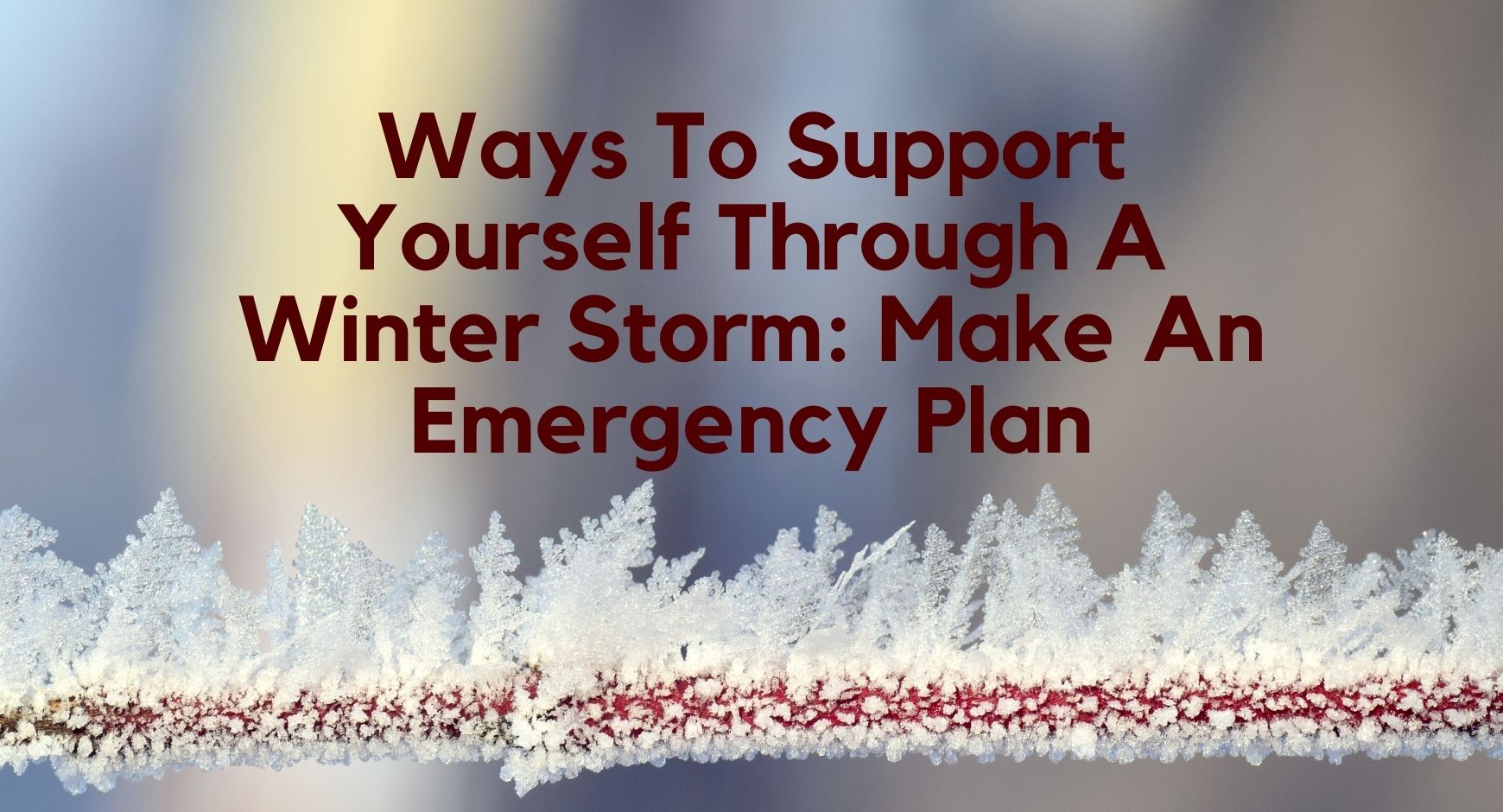 A frozen tree branch next to words that read "Ways To Support Yourself Through A Winter Storm Make An Emergency Plan"