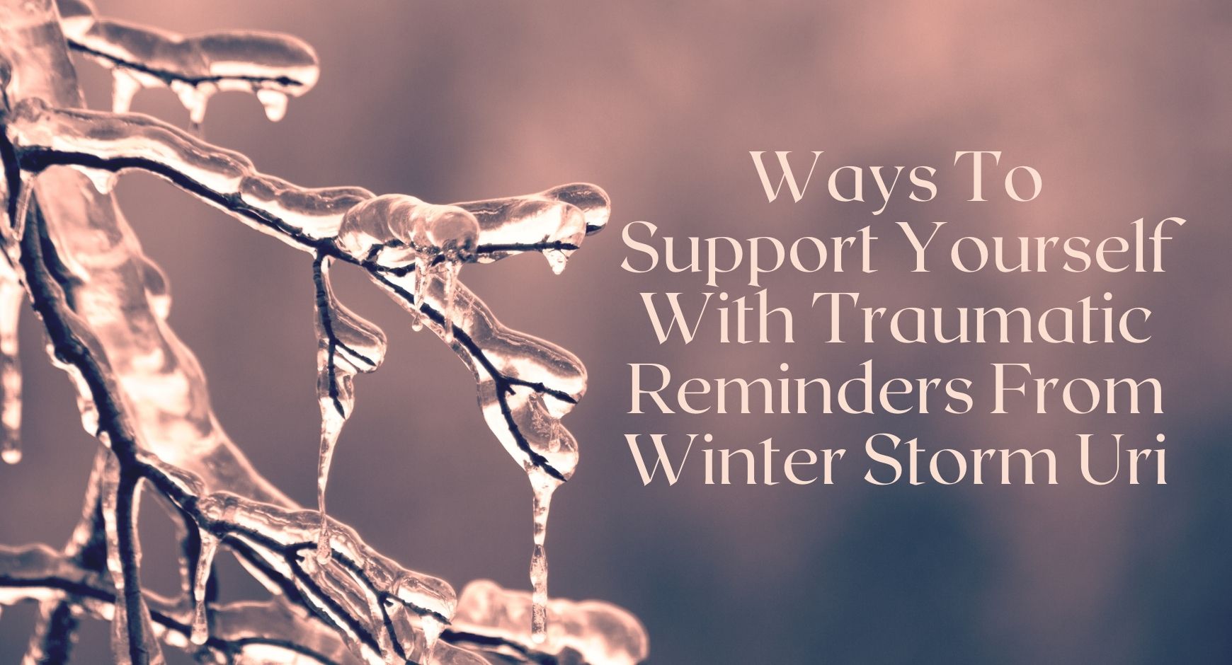A frozen tree branch next to words that read "Ways To Support Yourself With Traumatic Reminders From Winter Storm Uri"