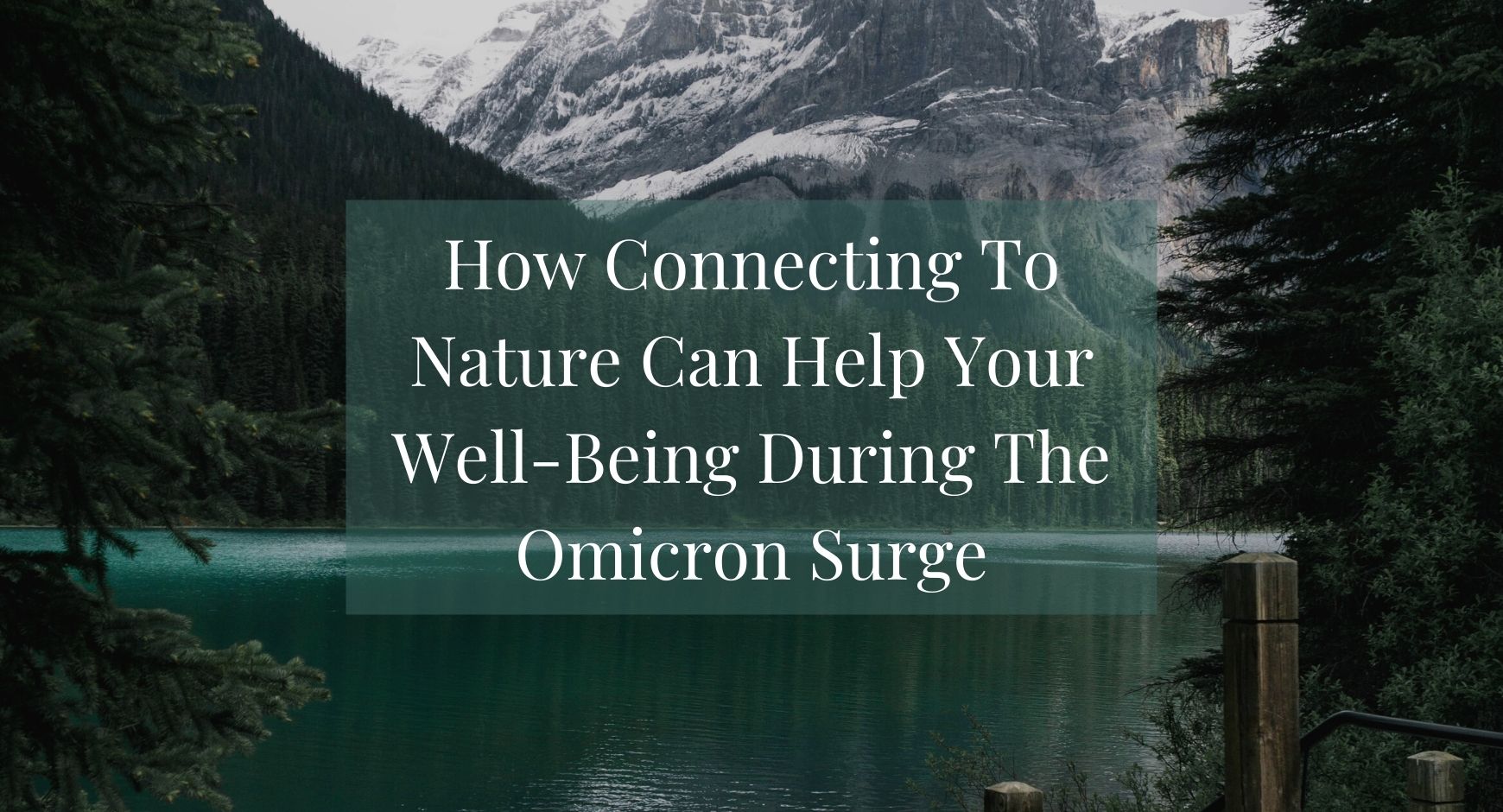 A lake surrounded by trees under words that read " Nature Can Help Your Well-Being During The Omicron Surge"