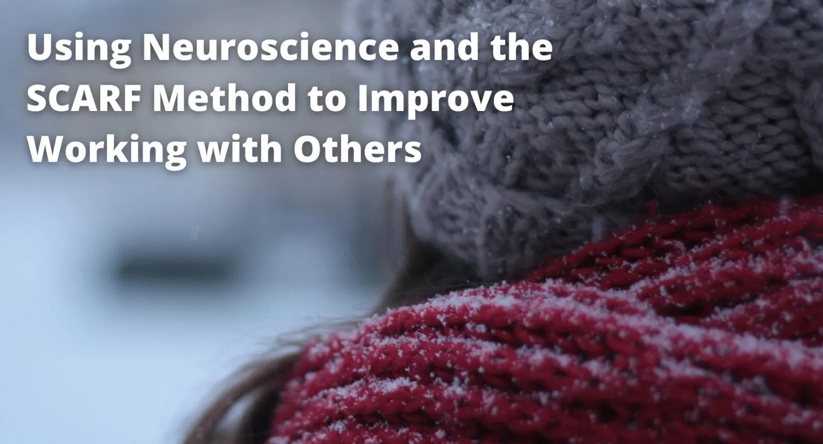 The back of a woman's head who is wearing a scarf in the snow with test that reads "Using Neuroscience and the SCARF Method to Improve Working with Others'